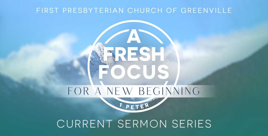 freshfocus.jpg