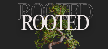 Cultivate 2026: Rooted Retreat